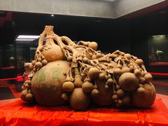 -广西壮族自治区博物馆