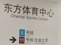 -东方体育中心(地铁站)