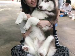 -TrueLove @ Neverland (Husky Cafe)