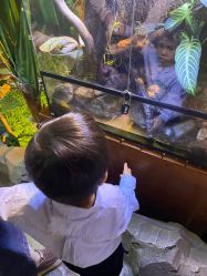 -酷嗒动物文化乐园(cutezoo西溪乐天城店)