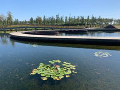 -春花秋色城市公园