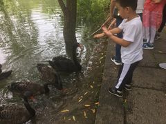 -长兴太湖图影湿地文化园