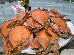 -金沙滩海鲜餐厅·海肠捞饭·手工水饺(梅江龙水园店)