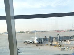 -青岛胶东国际机场