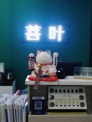 -菩叶脱发白发中心