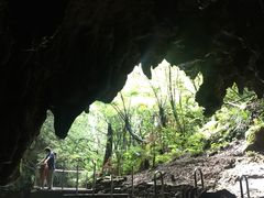 -怀托摩萤火虫洞