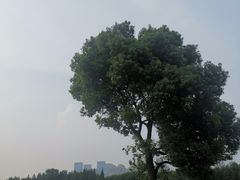 -山明水秀大饭店