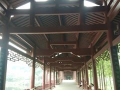 -重庆彩云湖湿地公园