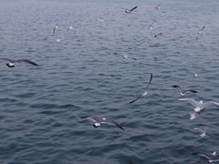 -青岛海尔洲际酒店