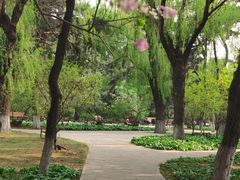 -东北大学(南湖校区)
