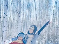 -乌兰布统景区-白桦林