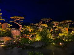 -罗红摄影艺术馆