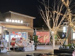 -首开·龙湖成都西宸天街