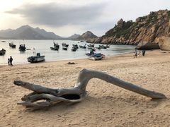 -那琴半岛地质海洋公园