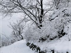 -香山公园