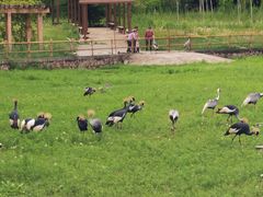 -哈尔滨北方森林动物园