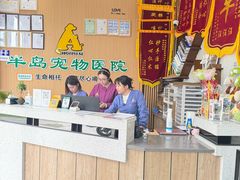 -半岛宠物医院24小时·内窥镜·牙科·碎石中心(府城大道店)