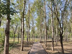 -东郊湿地公园