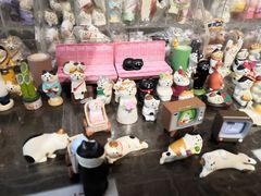 -猫咪博物馆(顶澳仔猫街店)