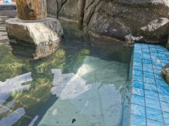 -大理石门关温泉