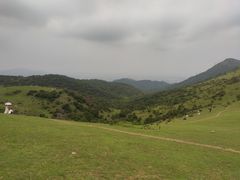 -大姆山草场