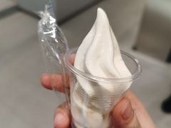 试吃雪糕-喜茶(广州中山六路店)