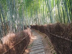 -宁波浙东大竹海景区