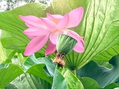 -长春市南湖公园