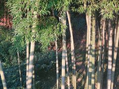 -方岩风景区
