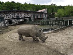 -哈尔滨北方森林动物园
