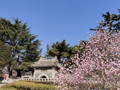 -湛山寺