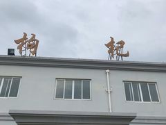 -枸杞岛