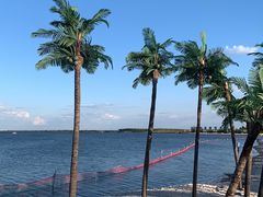 -呼兰河口湿地公园