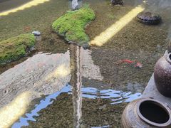 -几荷·恰似故人来(秀水广场店)