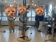 -共舞时光猫咖·狗咖(新街口店)