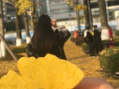 -百林公园-两江幸福广场