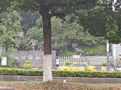 -菊花台公园