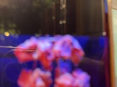 -壹号院音乐餐厅•烤全羊•新疆菜(浐灞店)
