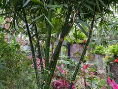 -北京植物园-展览温室