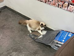 -樱桃家的宠物店(君安花园店)