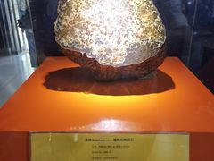 -紫金山天文台
