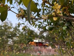 -顺风山庄(水濂山店)