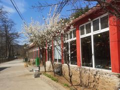 -荣德灶台鱼(圣泉寺店)