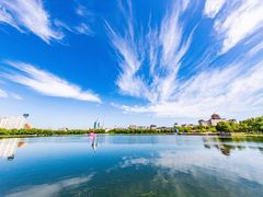 -莲花池公园
