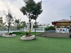 -爪吧宠物乐园·宠物泳池(温榆河示范区店)