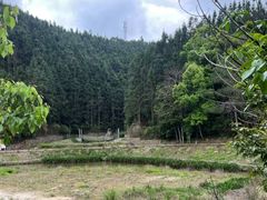 -滴水岩森林公园