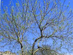 -成寿寺(地铁站)