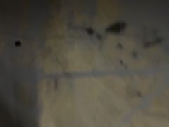 -巢爷老味(东方红店)