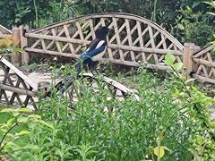 -杭州城北体育公园