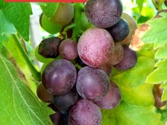 -中国电信(庄子沟营业厅)